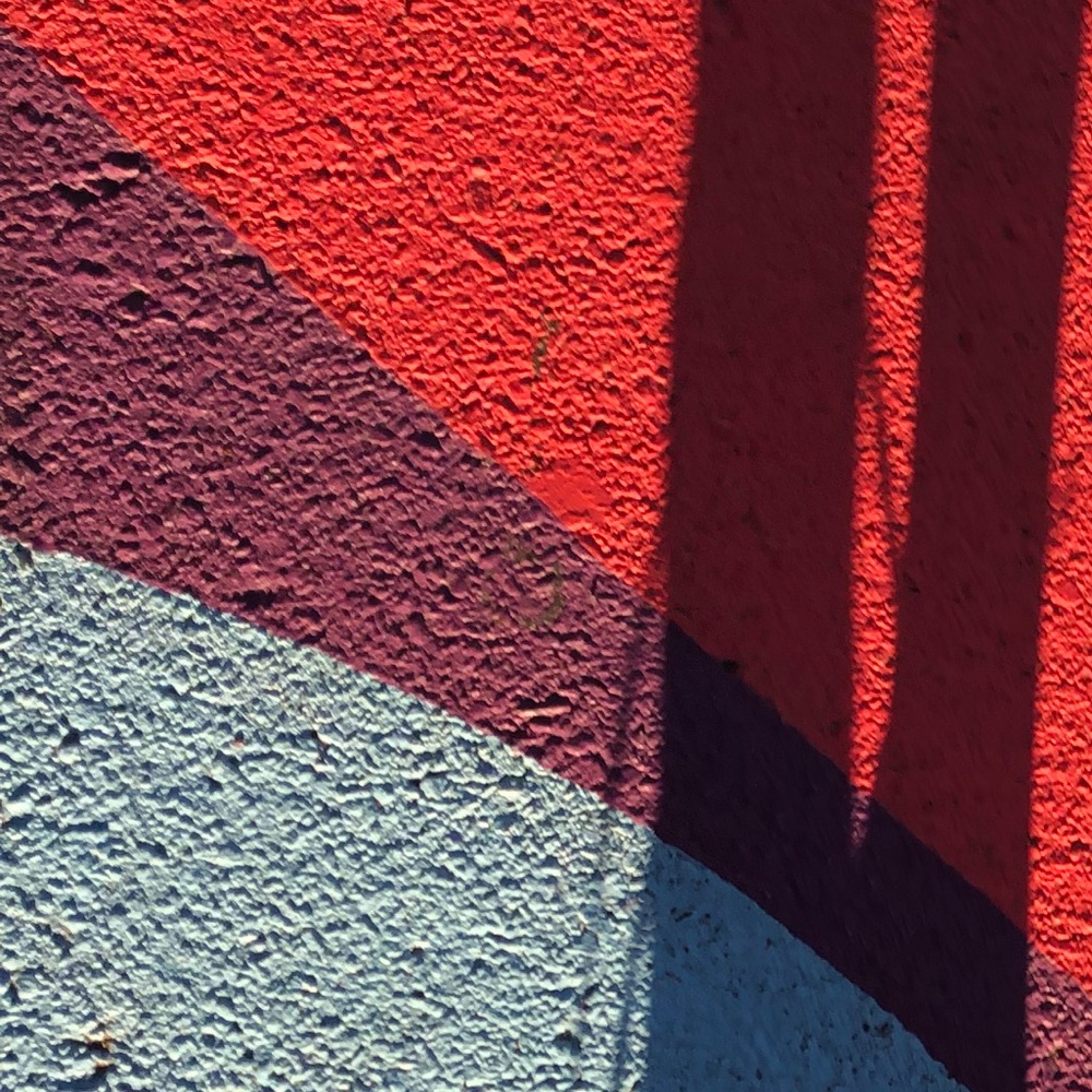 Meet your Posher, Lizzie